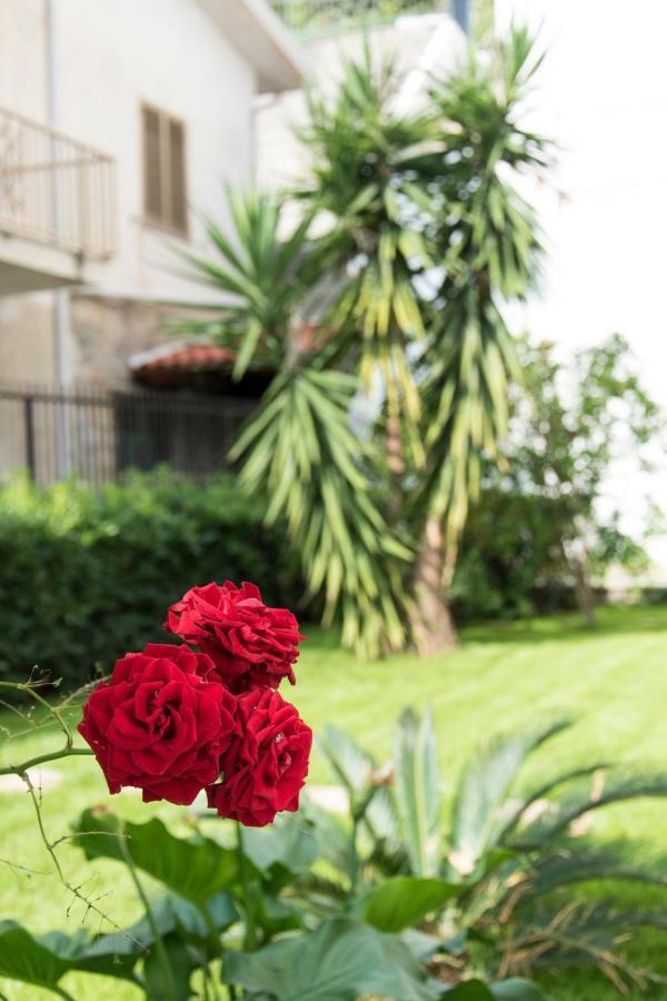 Bed and Breakfast L'Oasi Di Giorgia Читтаделла-дель-Капо Экстерьер фото